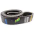 Correia Transpower 5/5v1600 Ensiladeira JF C-120  - Imagem: 3